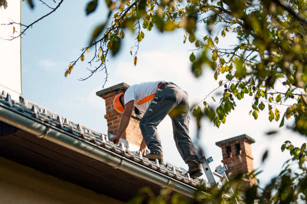 Best Chimney Flashing Repair  in Waimea, HI