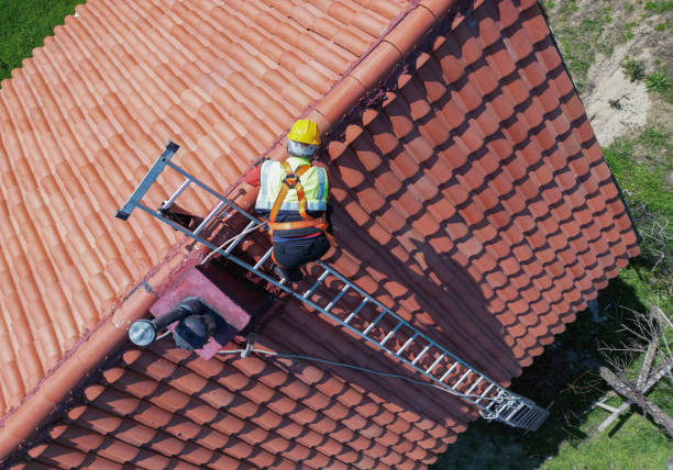 Best Green or Eco-Friendly Roofing Solutions  in Waimea, HI